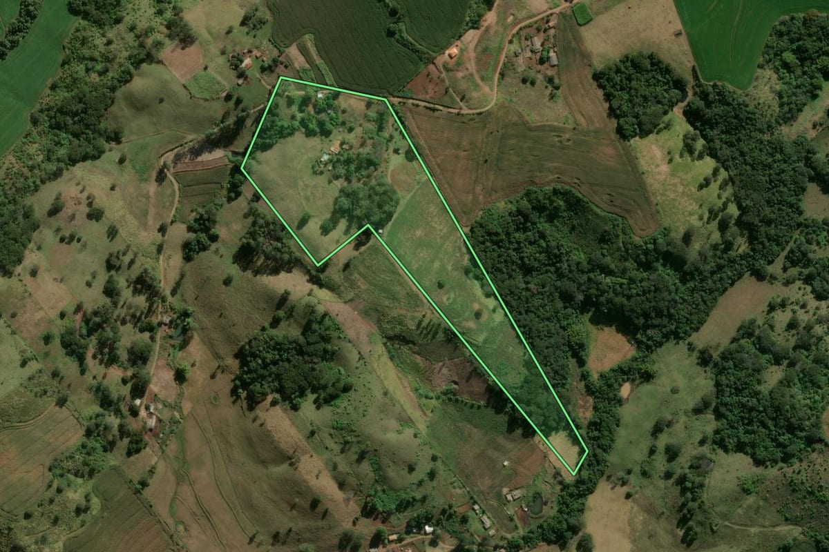 Imagem de satélite do imóvel rural em Califórnia (PR), com o contorno declarado no CAR desenhado por cima.
