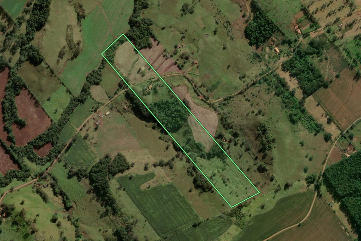 Imagem de satélite do imóvel rural em Califórnia (PR), com o contorno declarado no CAR desenhado por cima.