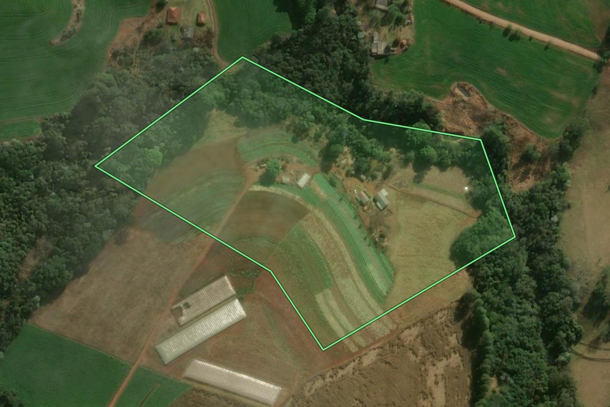 Imagem de satélite do imóvel rural em Califórnia (PR), com o contorno declarado no CAR desenhado por cima.