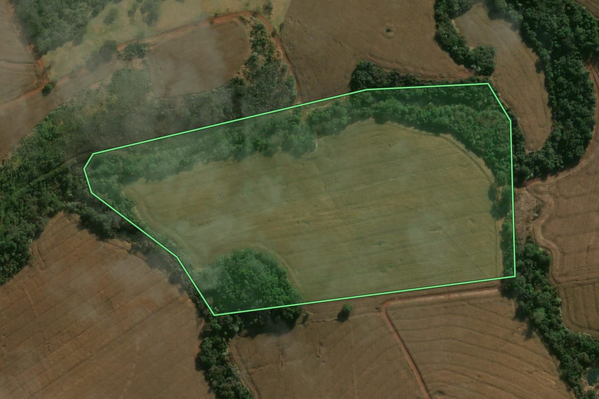 Imagem de satélite do imóvel rural em Califórnia (PR), com o contorno declarado no CAR desenhado por cima.