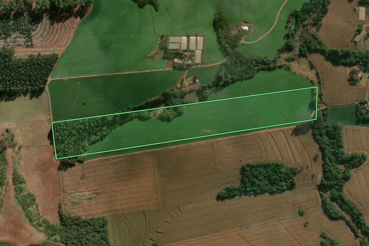 Imagem de satélite do imóvel rural em Califórnia (PR), com o contorno declarado no CAR desenhado por cima.