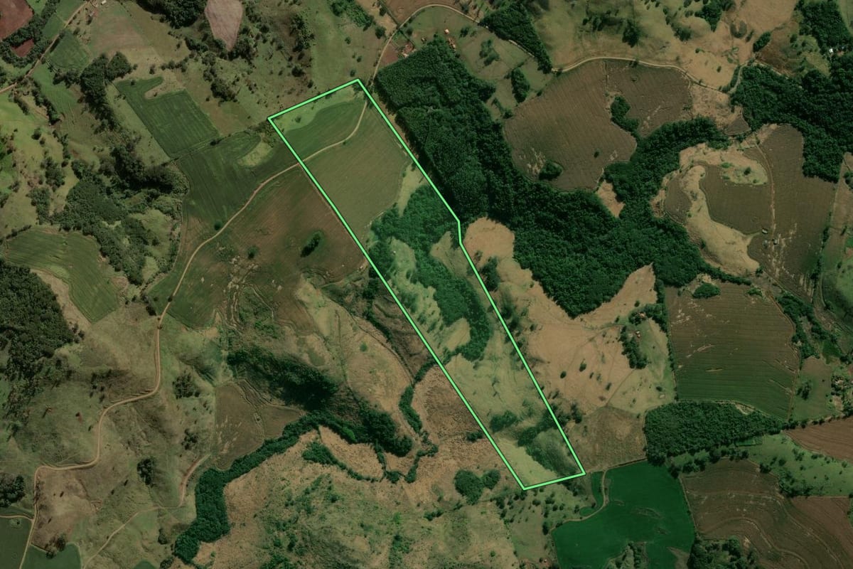 Imagem de satélite do imóvel rural em Califórnia (PR), com o contorno declarado no CAR desenhado por cima.