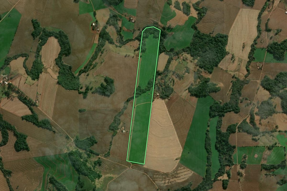 Imagem de satélite do imóvel rural em Califórnia (PR), com o contorno declarado no CAR desenhado por cima.