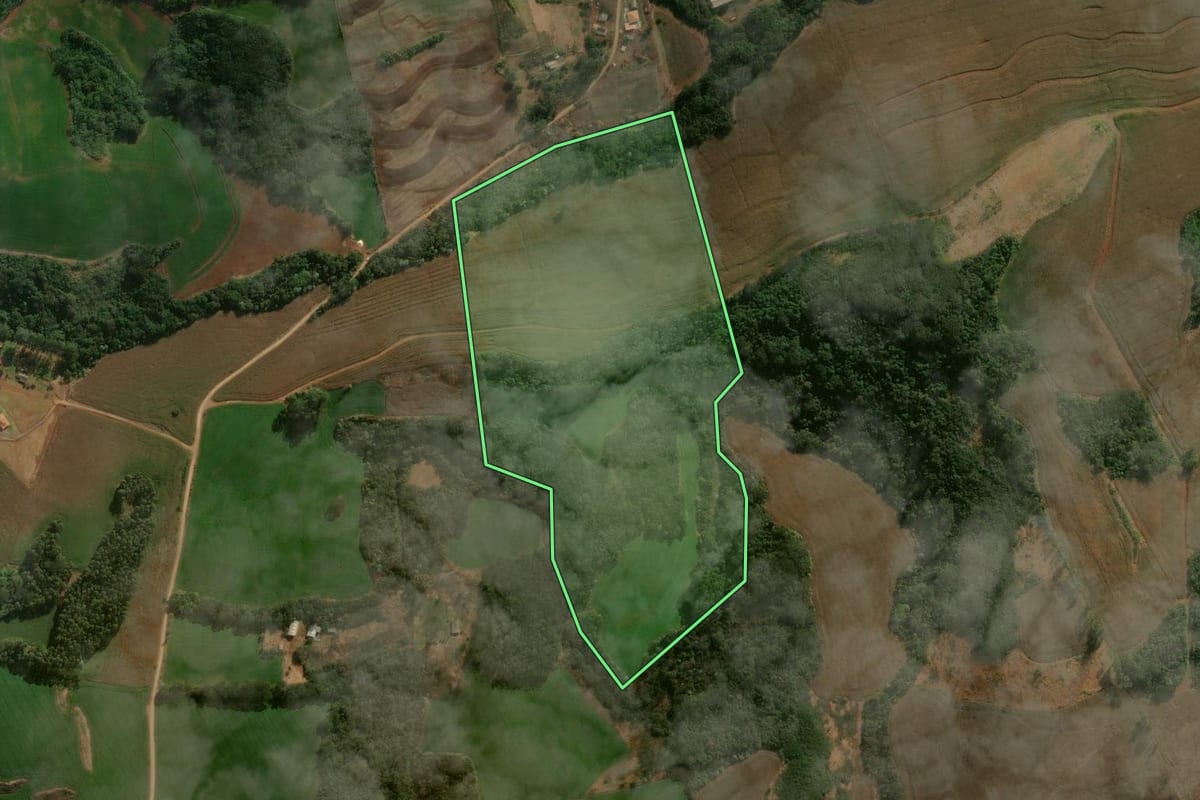 Imagem de satélite do imóvel rural em Califórnia (PR), com o contorno declarado no CAR desenhado por cima.