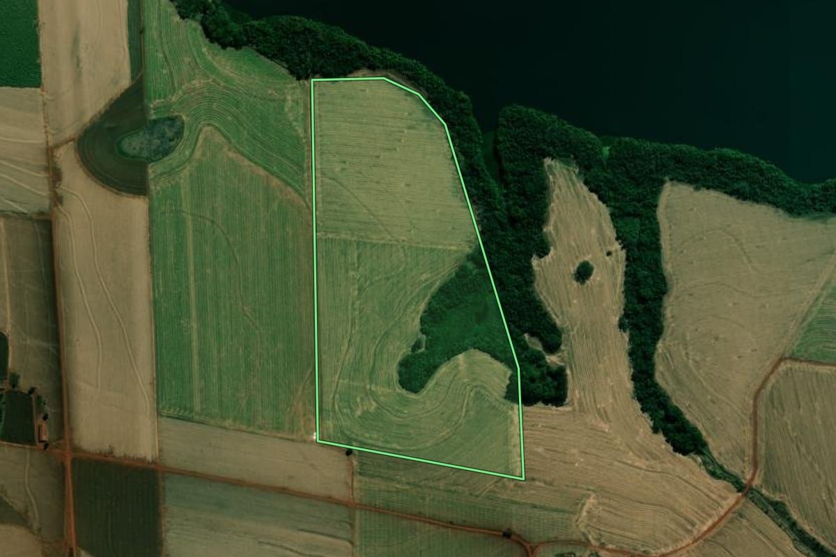 Imagem de satélite do imóvel rural em Cambará (PR), com o contorno declarado no CAR desenhado por cima.