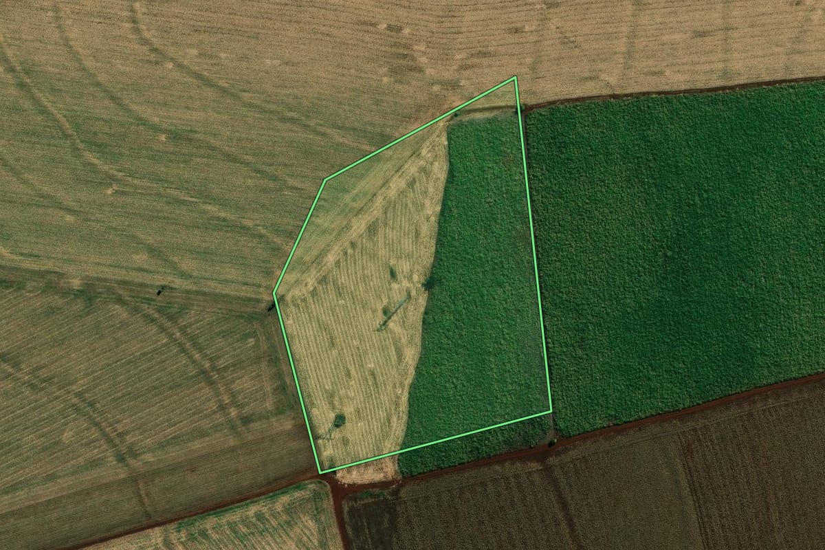 Imagem de satélite do imóvel rural em Cambará (PR), com o contorno declarado no CAR desenhado por cima.