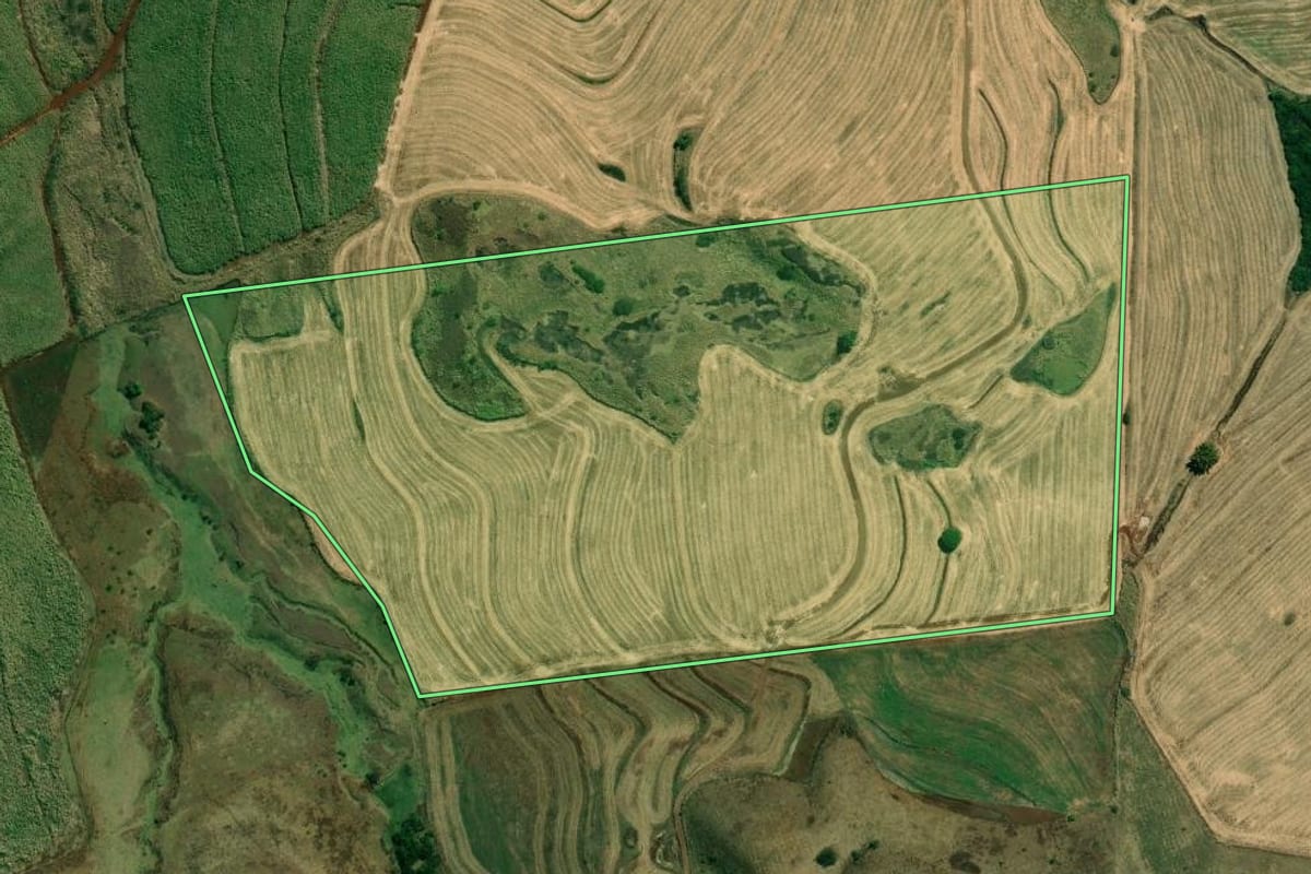 Imagem de satélite do imóvel rural em Cambará (PR), com o contorno declarado no CAR desenhado por cima.