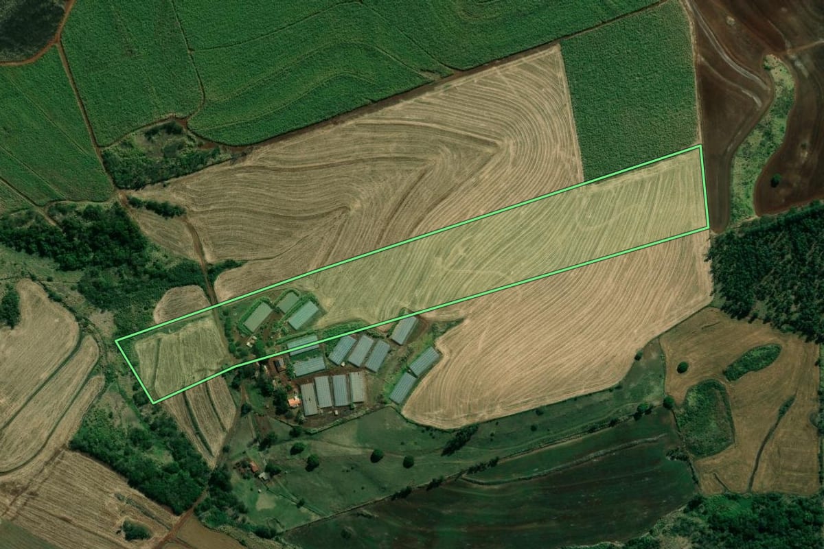 Imagem de satélite do imóvel rural em Cambará (PR), com o contorno declarado no CAR desenhado por cima.