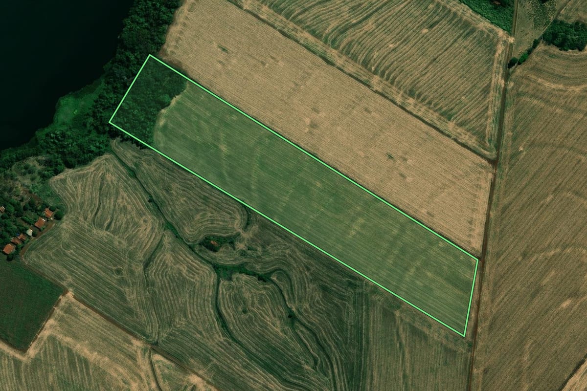 Imagem de satélite do imóvel rural em Cambará (PR), com o contorno declarado no CAR desenhado por cima.