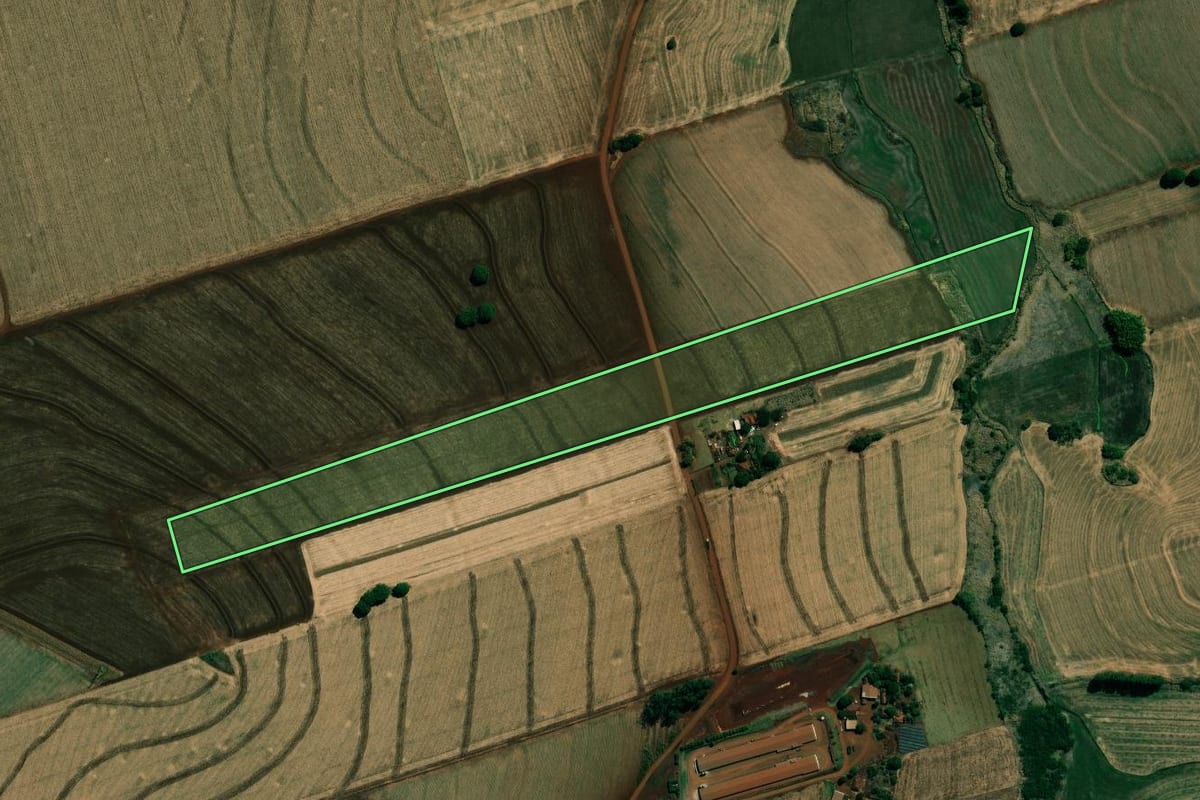 Imagem de satélite do imóvel rural em Cambará (PR), com o contorno declarado no CAR desenhado por cima.