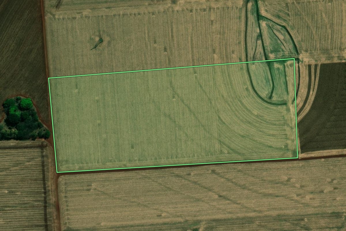 Imagem de satélite do imóvel rural em Cambará (PR), com o contorno declarado no CAR desenhado por cima.