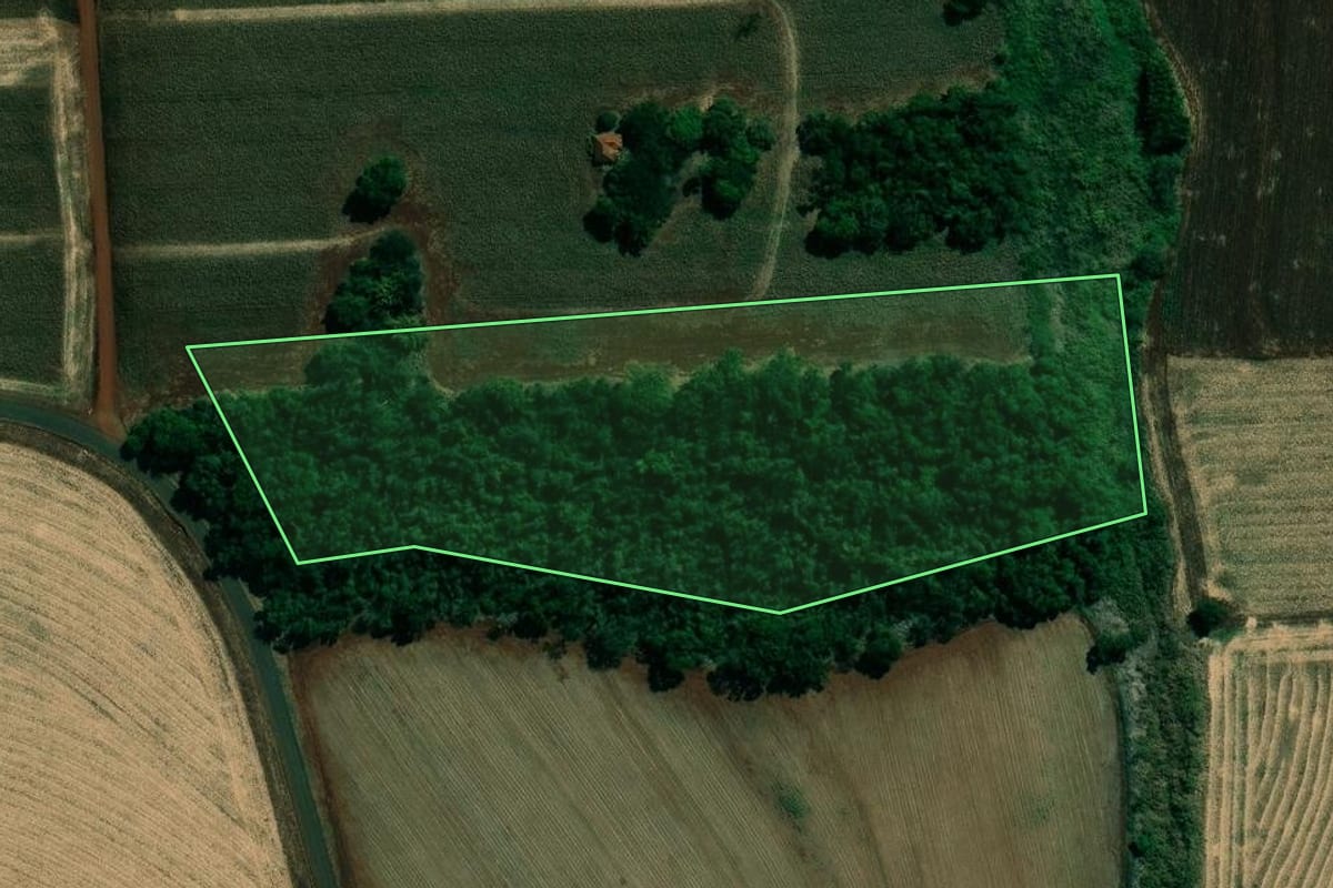 Imagem de satélite do imóvel rural em Cambará (PR), com o contorno declarado no CAR desenhado por cima.