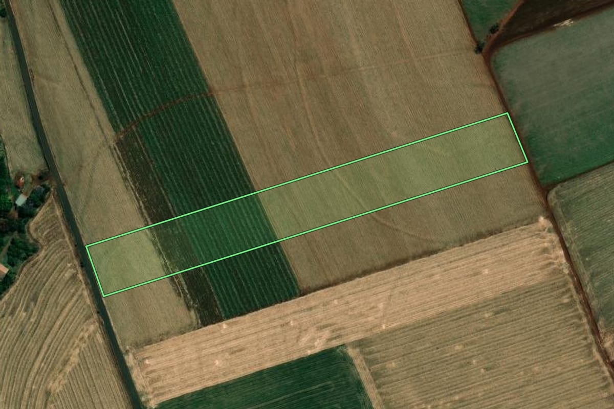 Imagem de satélite do imóvel rural em Cambará (PR), com o contorno declarado no CAR desenhado por cima.