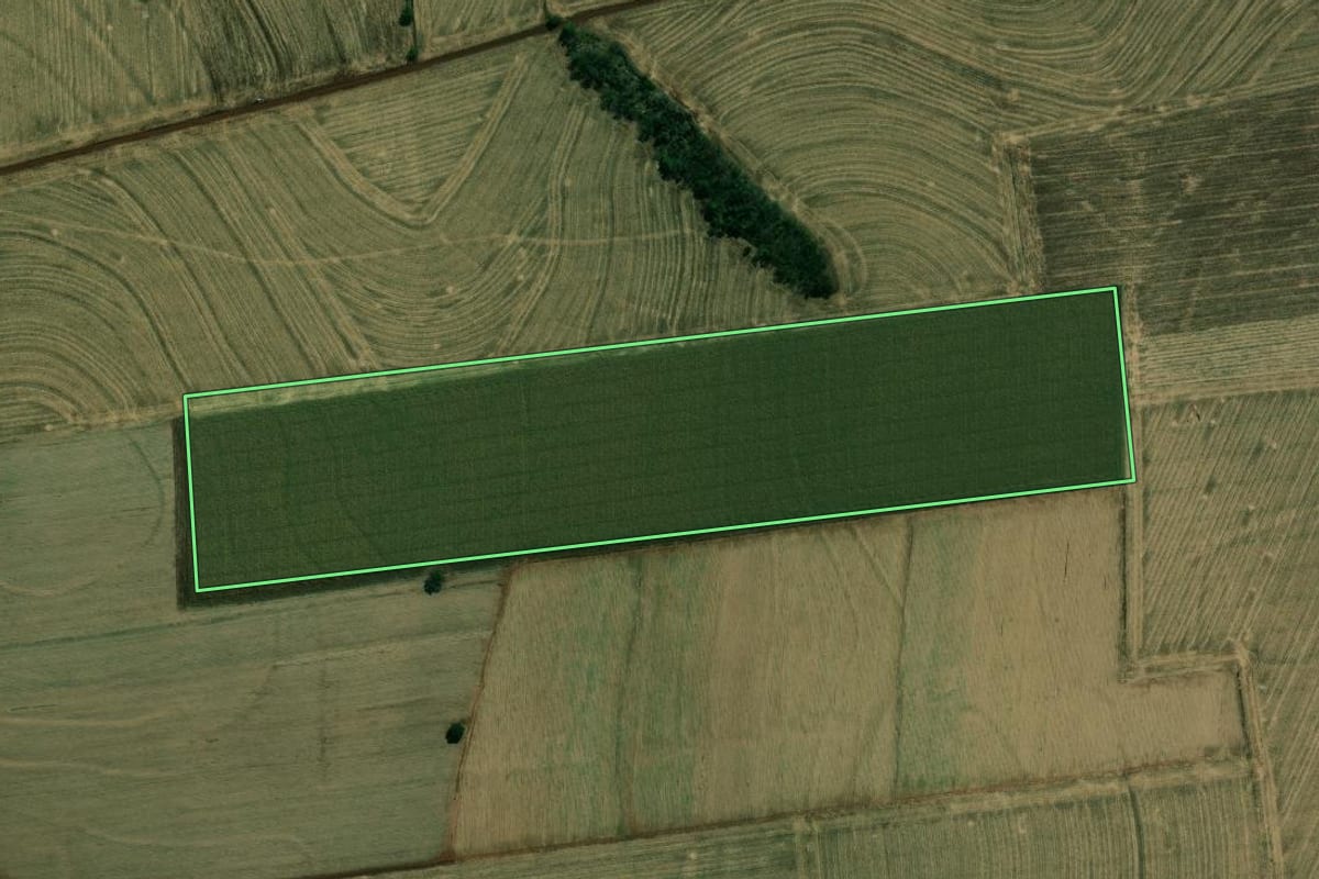 Imagem de satélite do imóvel rural em Cambará (PR), com o contorno declarado no CAR desenhado por cima.