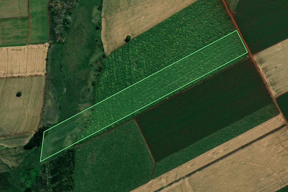 Imagem de satélite do imóvel rural em Cambará (PR), com o contorno declarado no CAR desenhado por cima.