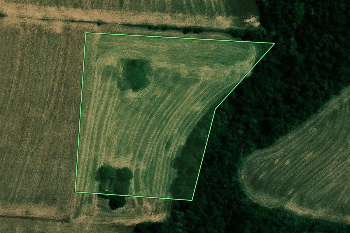 Imagem de satélite do imóvel rural em Cambé (PR), com o contorno declarado no CAR desenhado por cima.