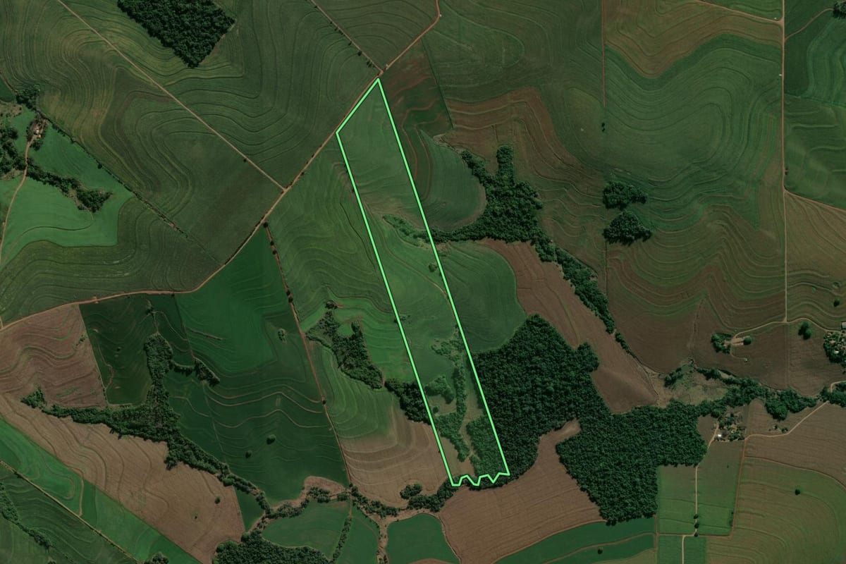 Imagem de satélite do imóvel rural em Cambé (PR), com o contorno declarado no CAR desenhado por cima.
