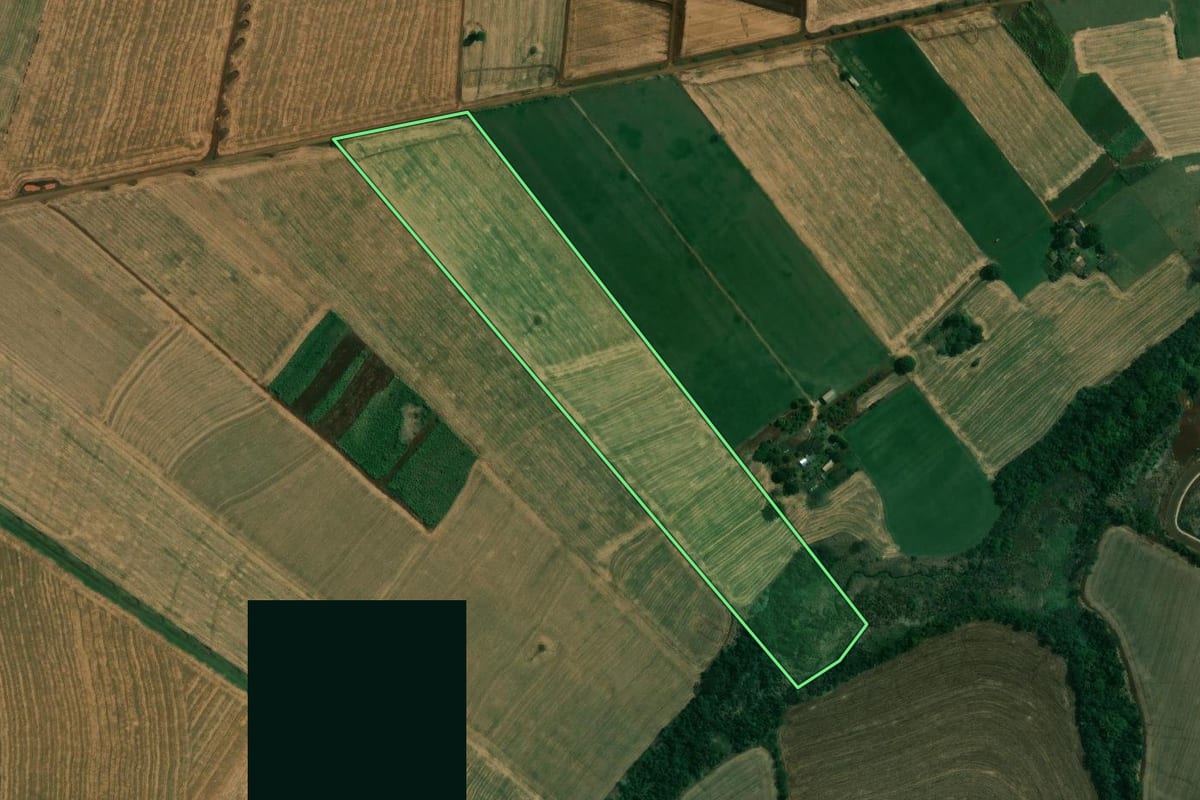 Imagem de satélite do imóvel rural em Cambé (PR), com o contorno declarado no CAR desenhado por cima.