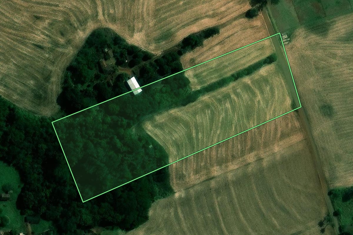 Imagem de satélite do imóvel rural em Cambé (PR), com o contorno declarado no CAR desenhado por cima.