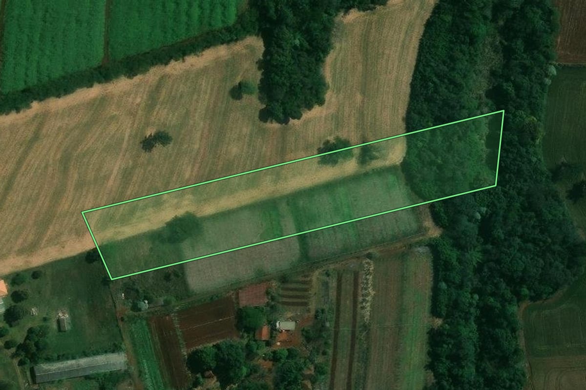 Imagem de satélite do imóvel rural em Cambé (PR), com o contorno declarado no CAR desenhado por cima.