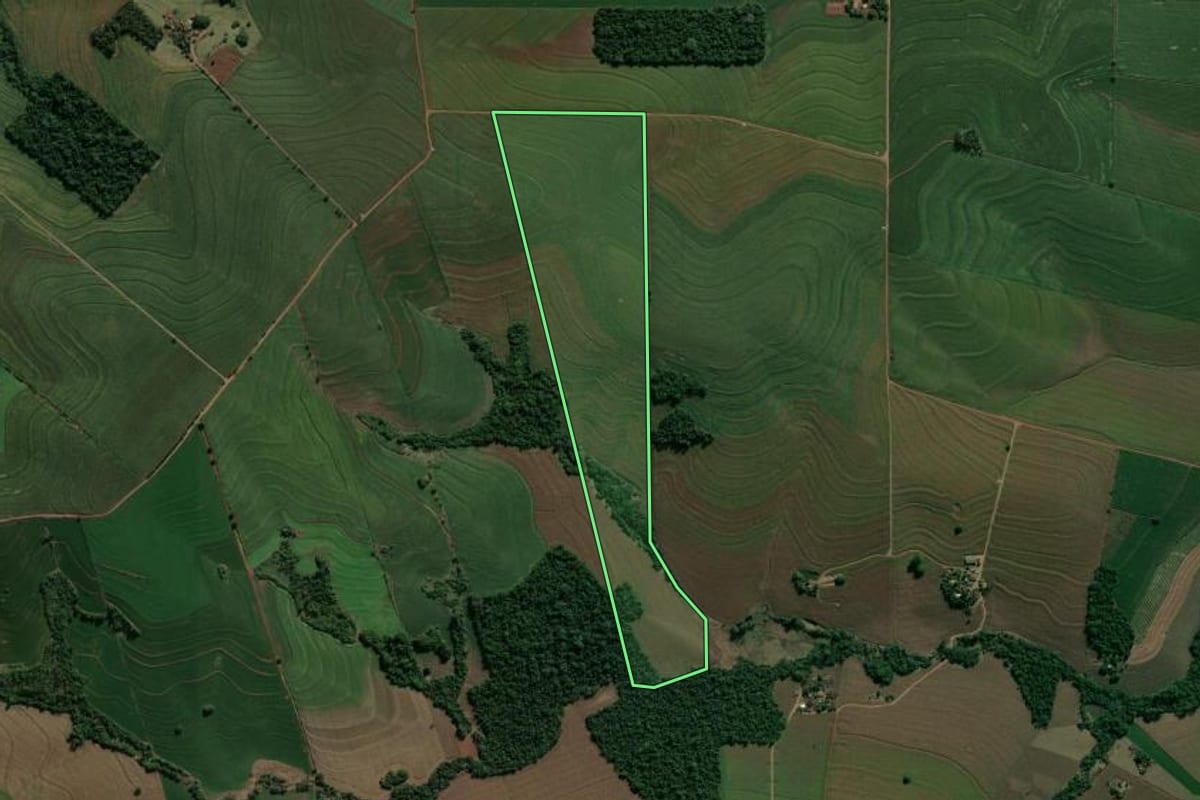 Imagem de satélite do imóvel rural em Cambé (PR), com o contorno declarado no CAR desenhado por cima.