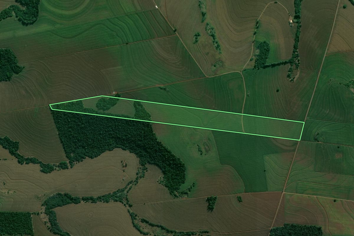 Imagem de satélite do imóvel rural em Cambé (PR), com o contorno declarado no CAR desenhado por cima.