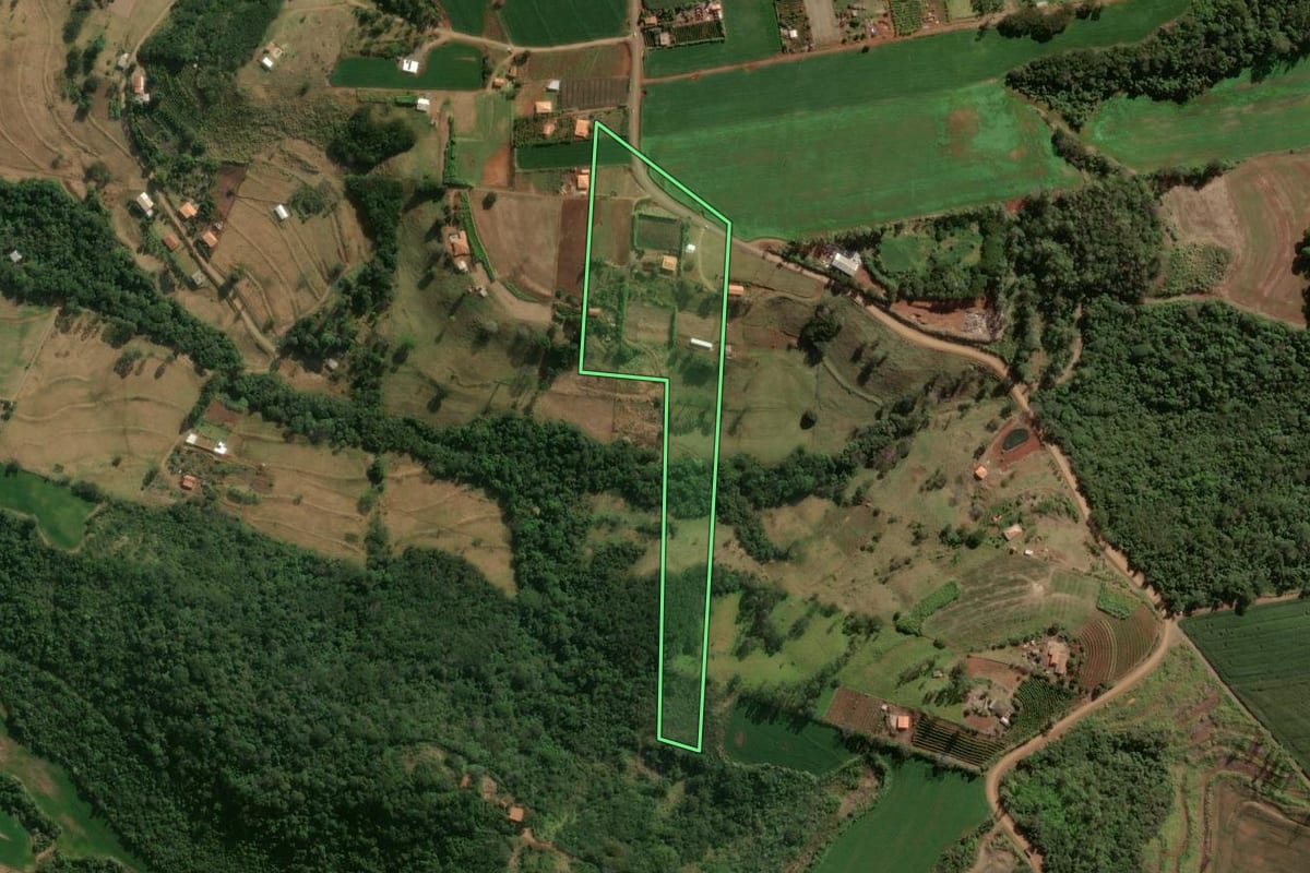 Imagem de satélite do imóvel rural em Cambira (PR), com o contorno declarado no CAR desenhado por cima.