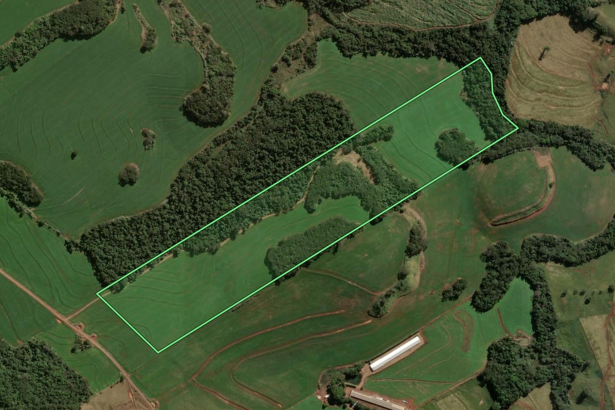 Imagem de satélite do imóvel rural em Cambira (PR), com o contorno declarado no CAR desenhado por cima.