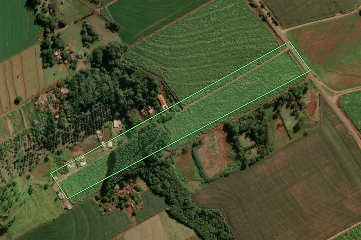 Imagem de satélite do imóvel rural em Cambira (PR), com o contorno declarado no CAR desenhado por cima.