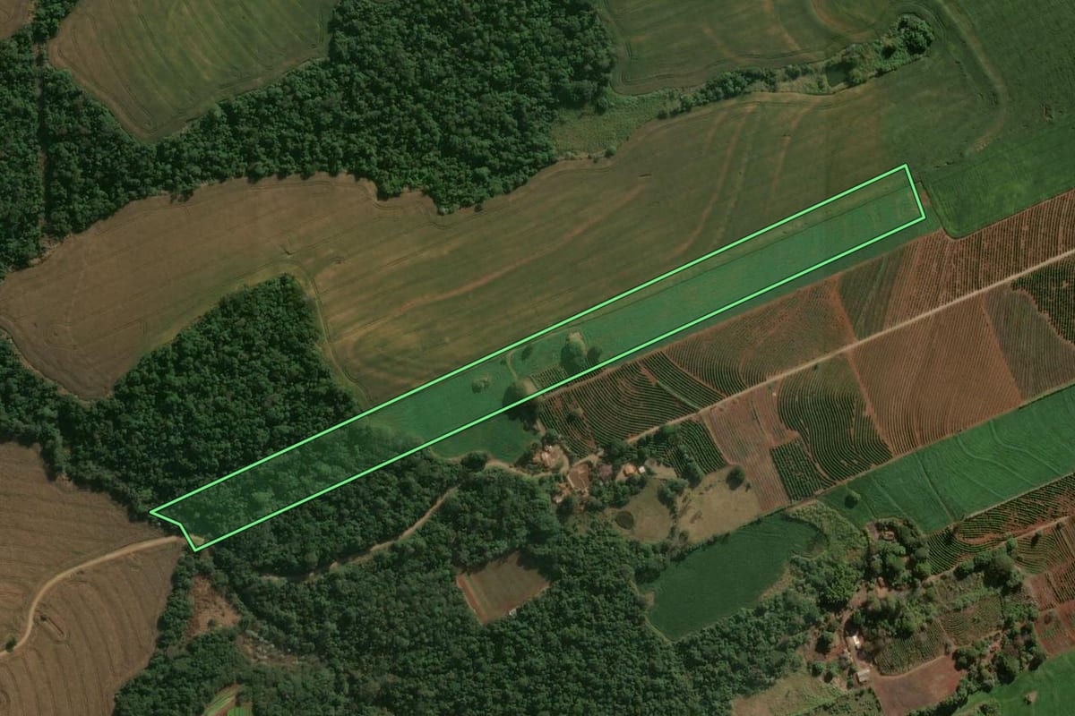 Imagem de satélite do imóvel rural em Cambira (PR), com o contorno declarado no CAR desenhado por cima.