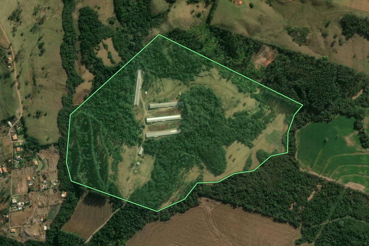 Imagem de satélite do imóvel rural em Cambira (PR), com o contorno declarado no CAR desenhado por cima.
