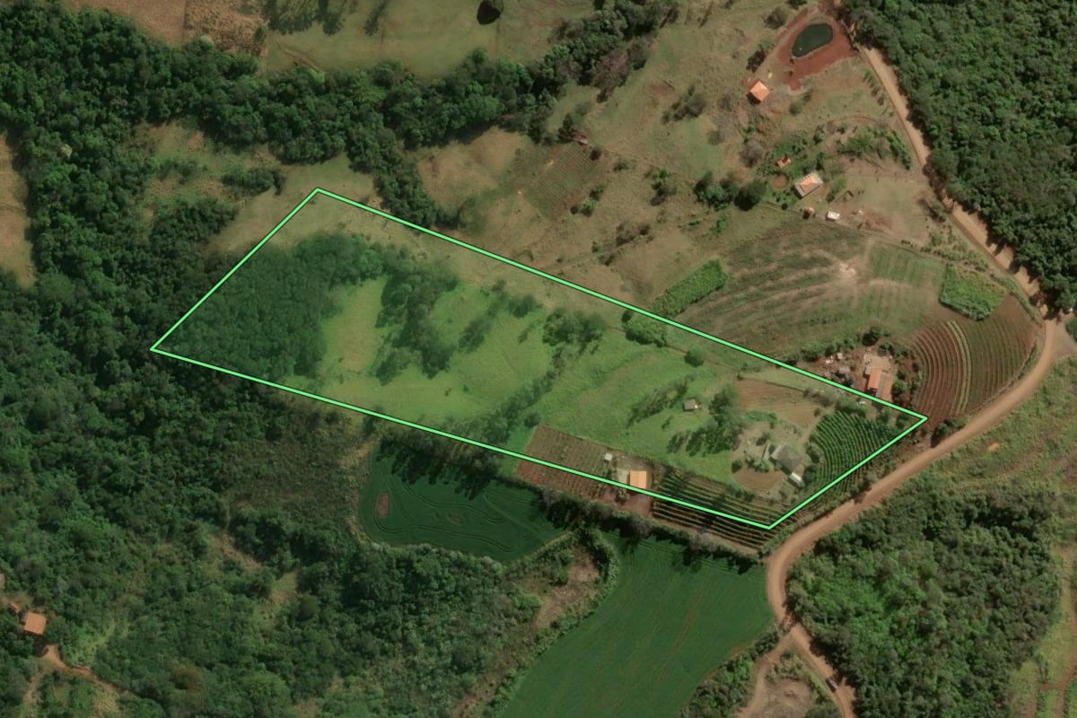 Imagem de satélite do imóvel rural em Cambira (PR), com o contorno declarado no CAR desenhado por cima.