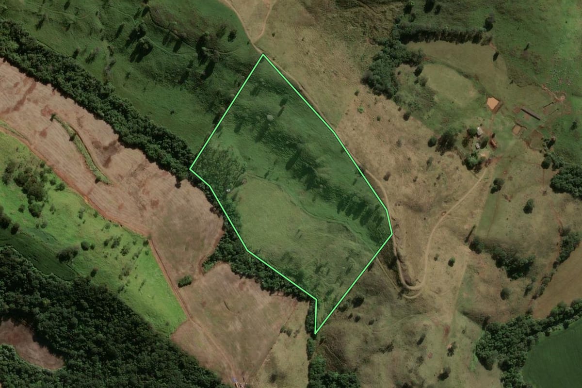 Imagem de satélite do imóvel rural em Cambira (PR), com o contorno declarado no CAR desenhado por cima.