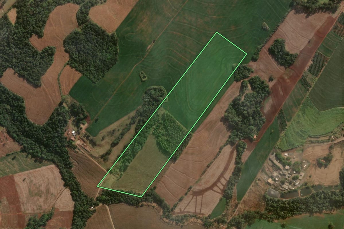 Imagem de satélite do imóvel rural em Cambira (PR), com o contorno declarado no CAR desenhado por cima.