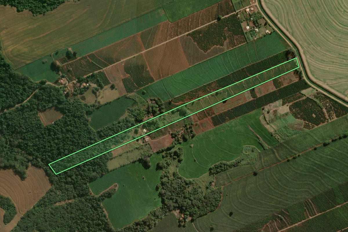 Imagem de satélite do imóvel rural em Cambira (PR), com o contorno declarado no CAR desenhado por cima.