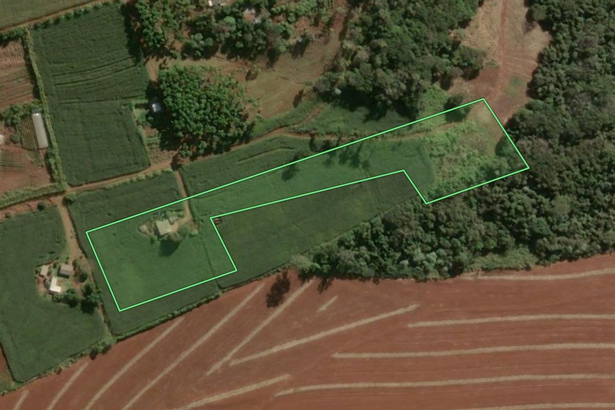 Imagem de satélite do imóvel rural em Cambira (PR), com o contorno declarado no CAR desenhado por cima.