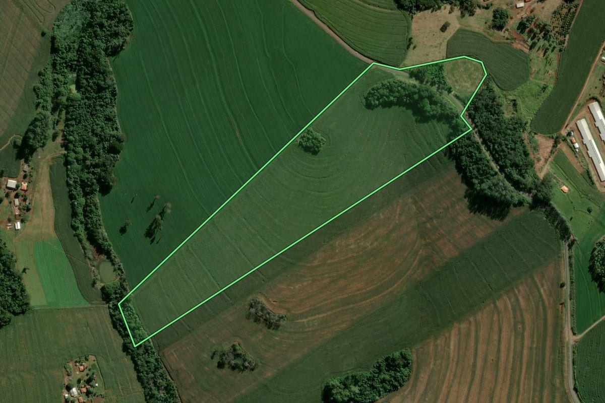 Imagem de satélite do imóvel rural em Cambira (PR), com o contorno declarado no CAR desenhado por cima.