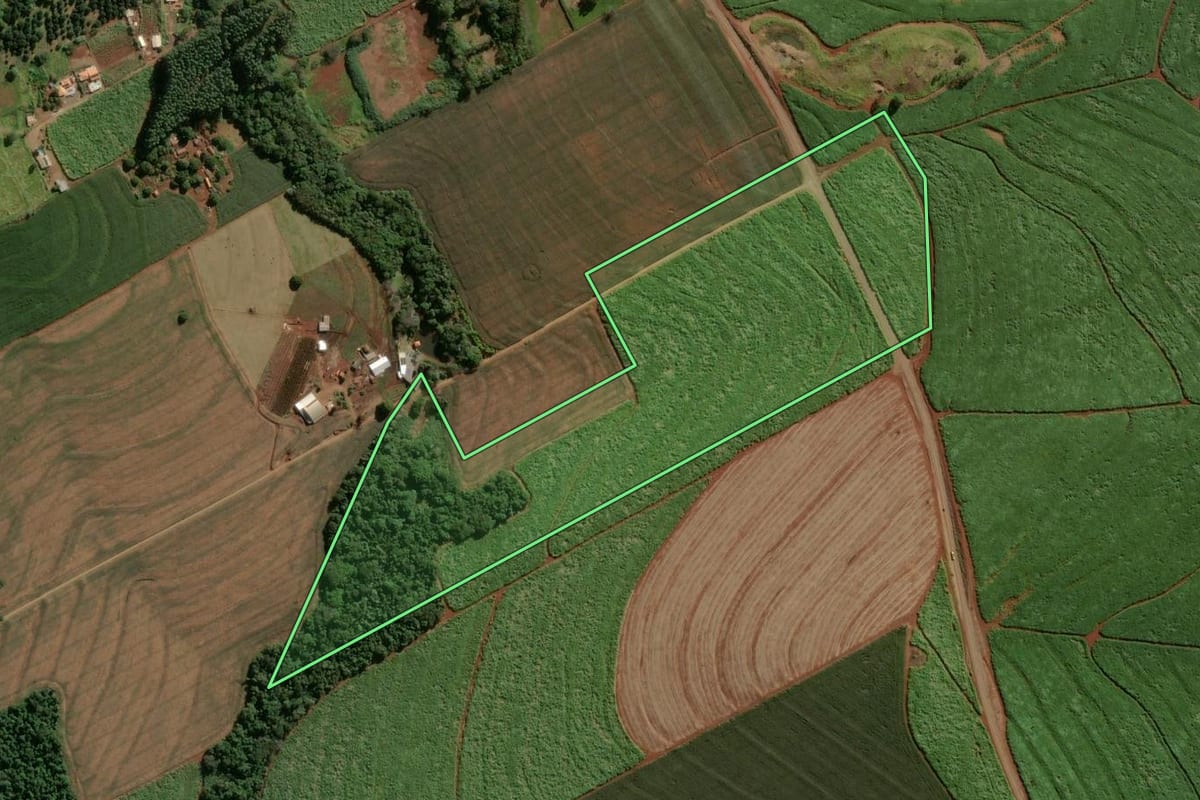 Imagem de satélite do imóvel rural em Cambira (PR), com o contorno declarado no CAR desenhado por cima.