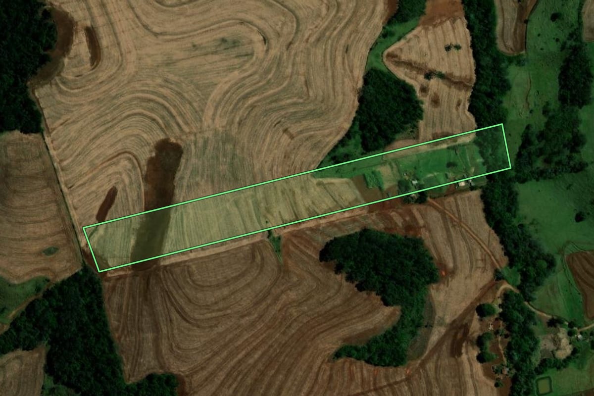 Imagem de satélite do imóvel rural em Campina da Lagoa (PR), com o contorno declarado no CAR desenhado por cima.
