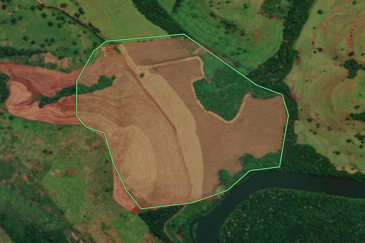 Imagem de satélite do imóvel rural em Campina da Lagoa (PR), com o contorno declarado no CAR desenhado por cima.