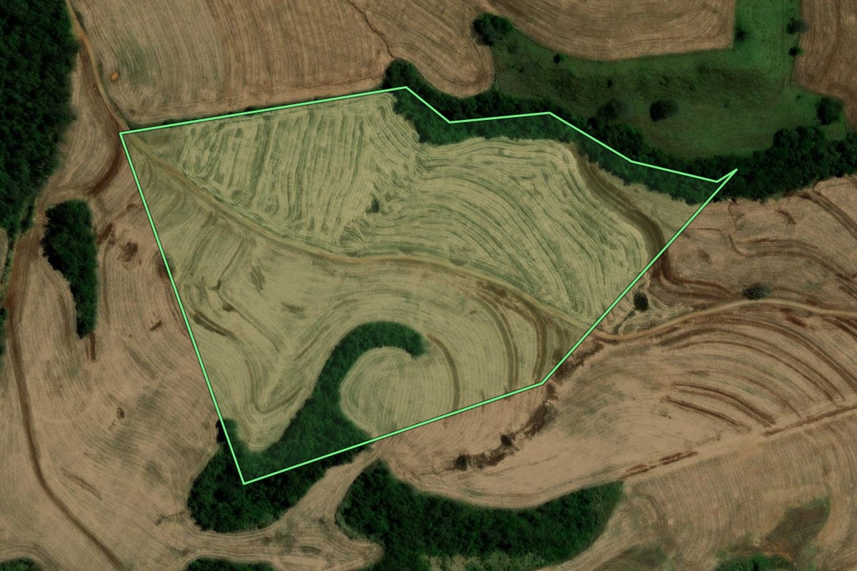 Imagem de satélite do imóvel rural em Campina da Lagoa (PR), com o contorno declarado no CAR desenhado por cima.