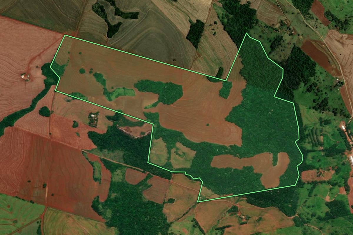 Imagem de satélite do imóvel rural em Campina da Lagoa (PR), com o contorno declarado no CAR desenhado por cima.