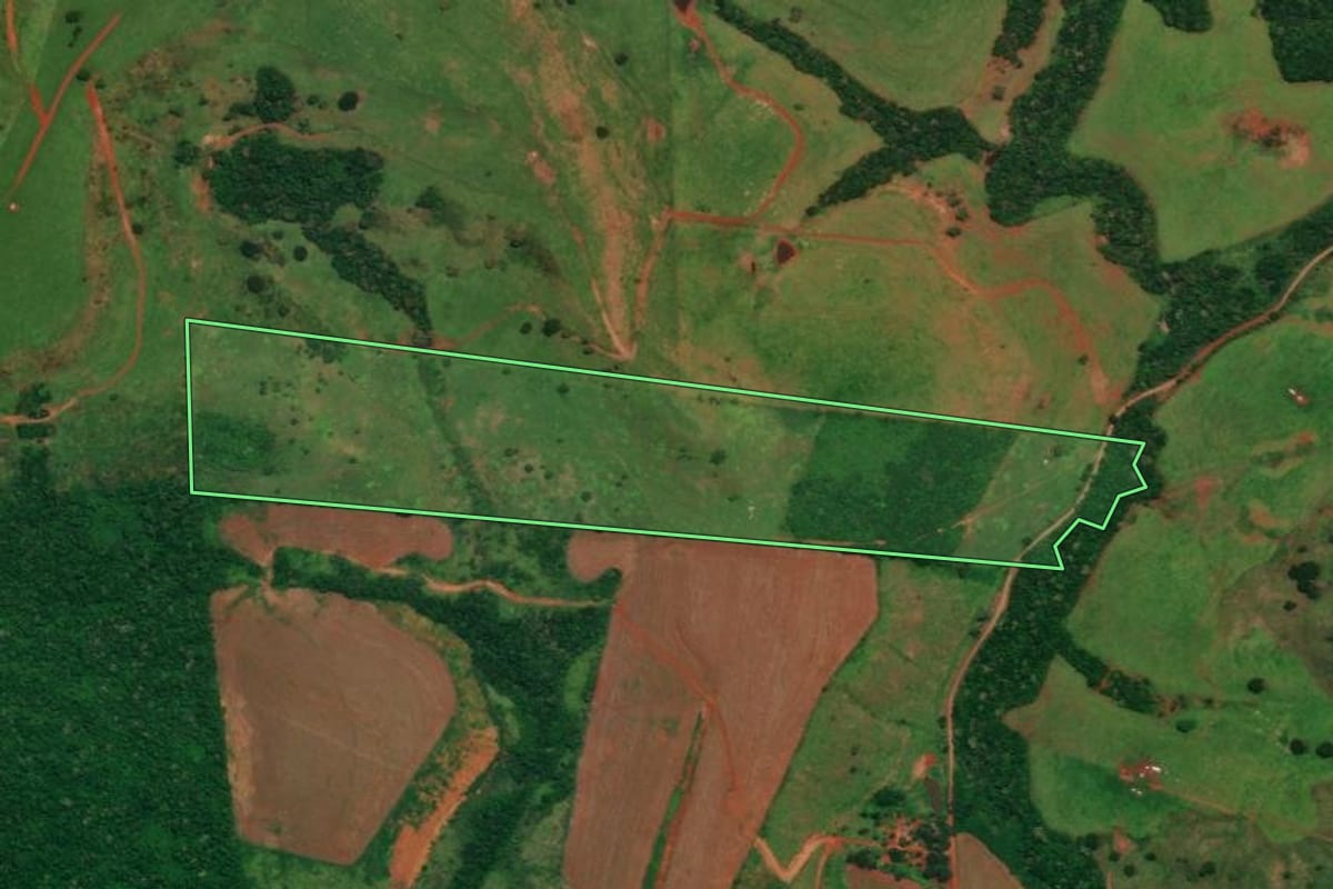Imagem de satélite do imóvel rural em Campina da Lagoa (PR), com o contorno declarado no CAR desenhado por cima.