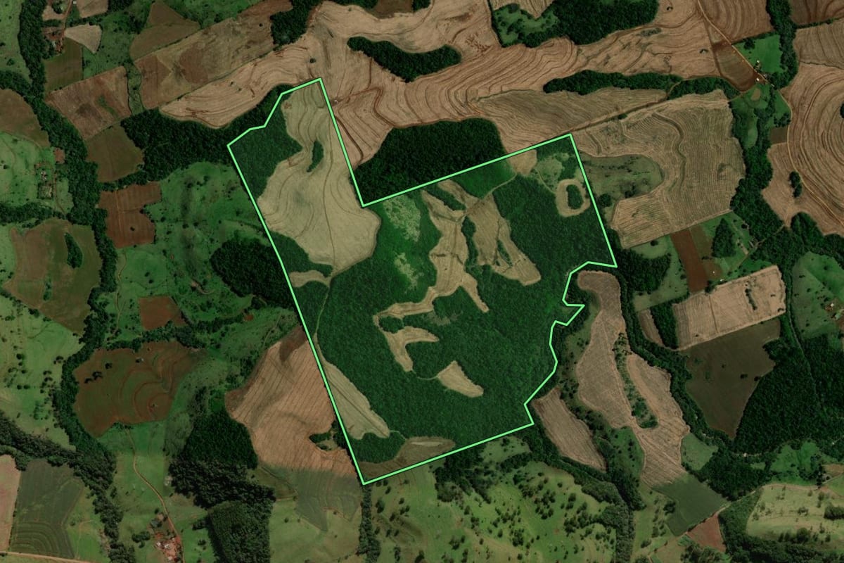Imagem de satélite do imóvel rural em Campina da Lagoa (PR), com o contorno declarado no CAR desenhado por cima.
