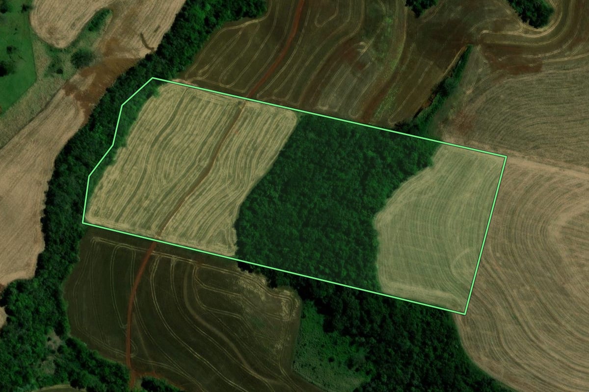 Imagem de satélite do imóvel rural em Campina da Lagoa (PR), com o contorno declarado no CAR desenhado por cima.