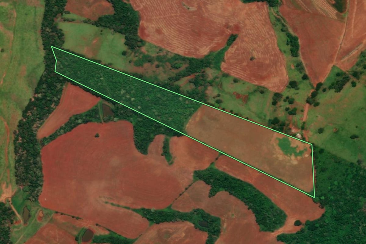 Imagem de satélite do imóvel rural em Campina da Lagoa (PR), com o contorno declarado no CAR desenhado por cima.