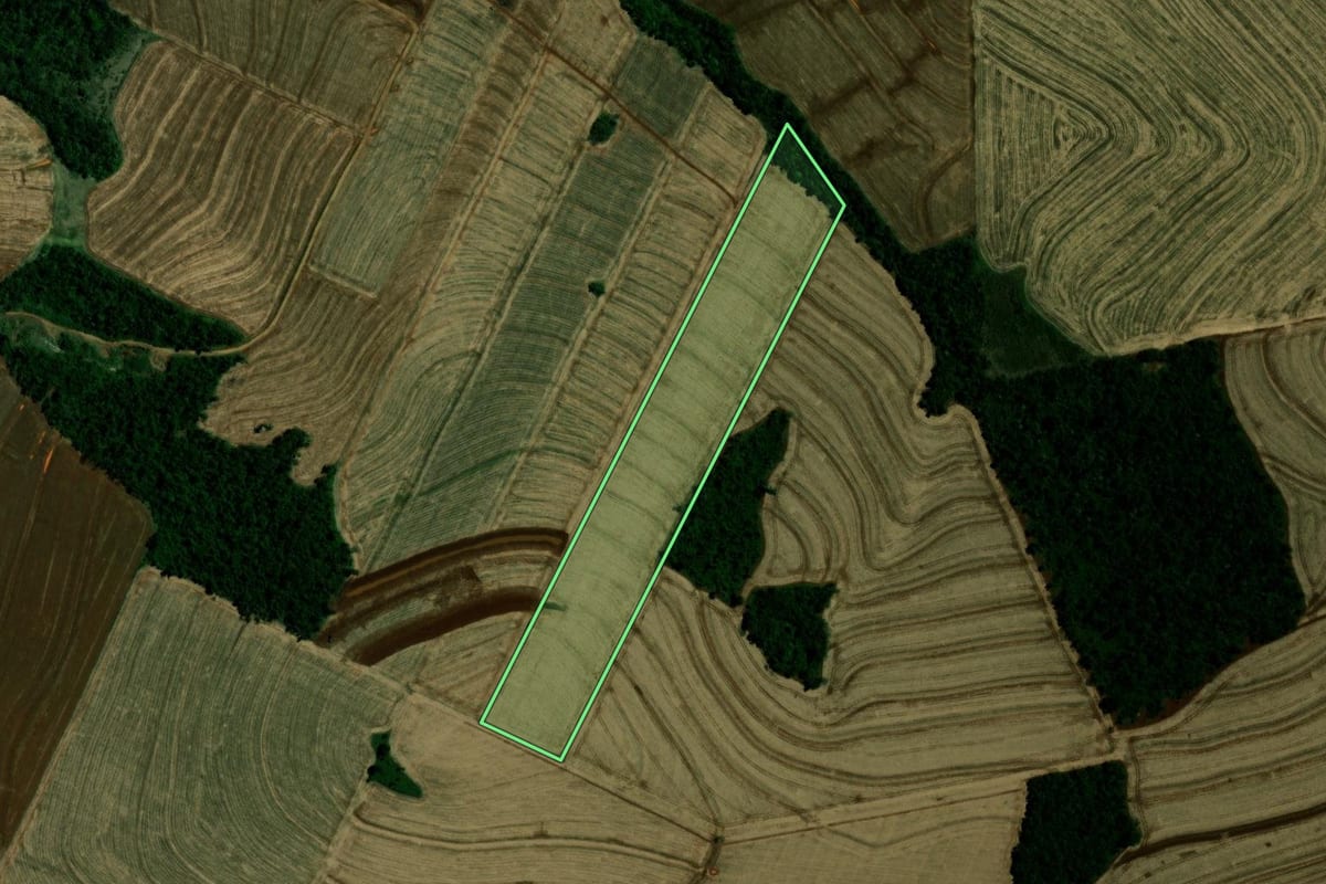 Imagem de satélite do imóvel rural em Campina da Lagoa (PR), com o contorno declarado no CAR desenhado por cima.