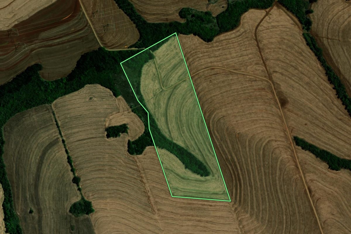 Imagem de satélite do imóvel rural em Campina da Lagoa (PR), com o contorno declarado no CAR desenhado por cima.