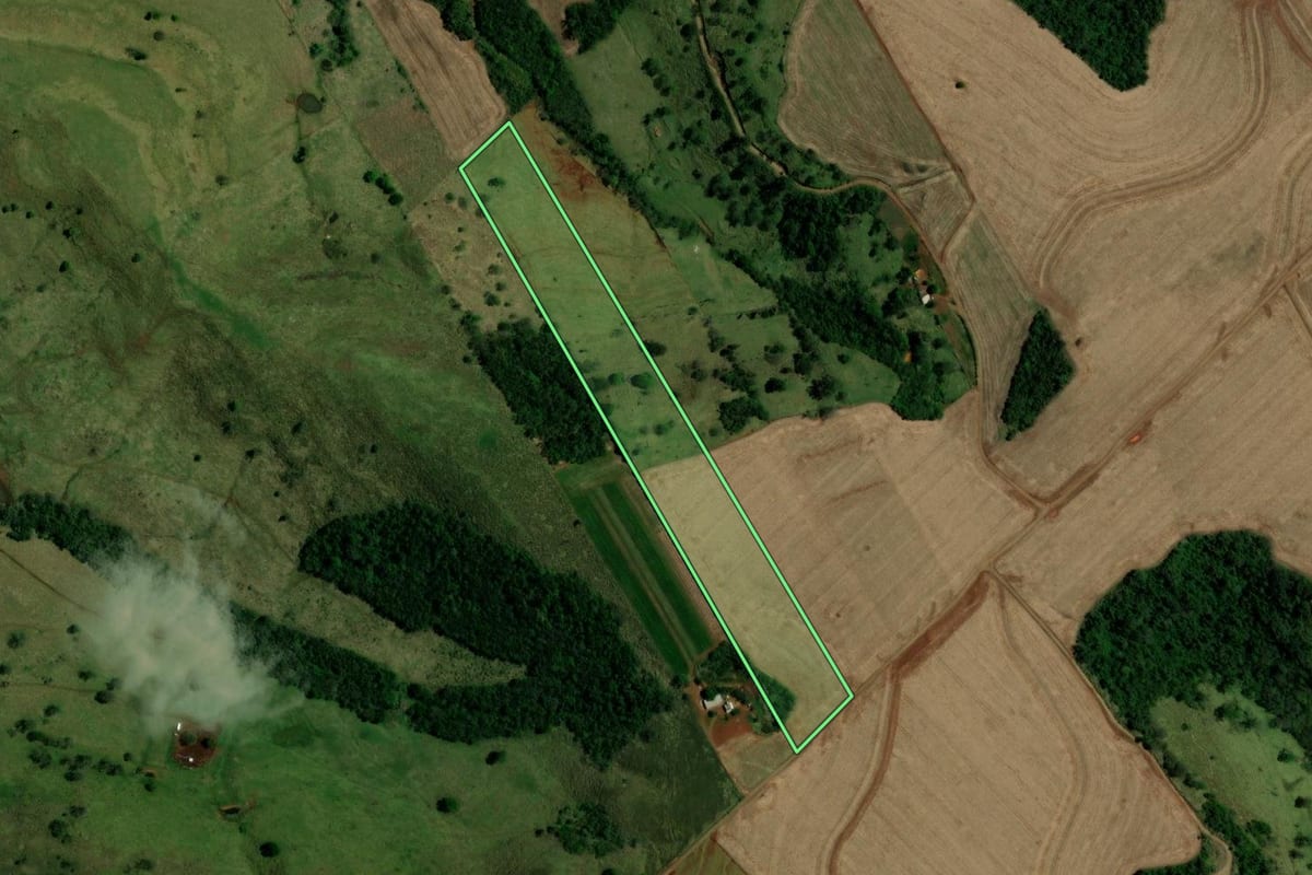 Imagem de satélite do imóvel rural em Campina da Lagoa (PR), com o contorno declarado no CAR desenhado por cima.