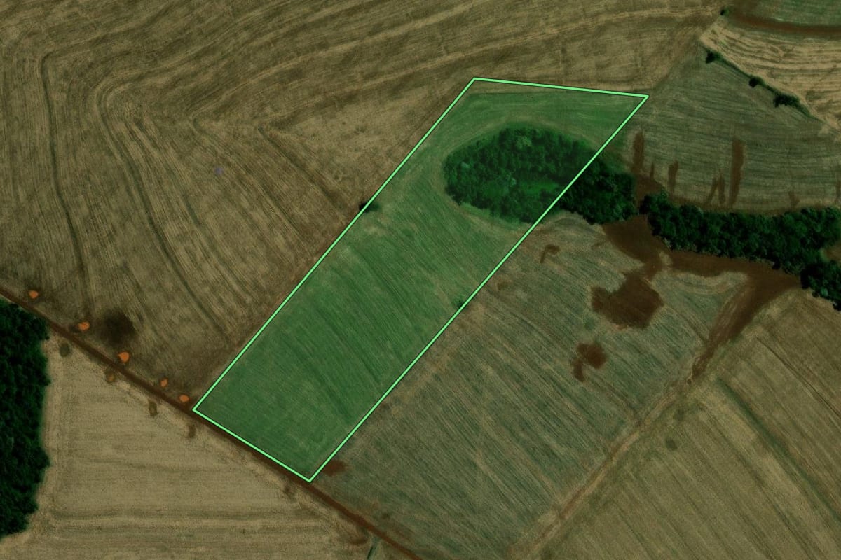 Imagem de satélite do imóvel rural em Campina da Lagoa (PR), com o contorno declarado no CAR desenhado por cima.